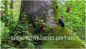 adding native shrubs and vines