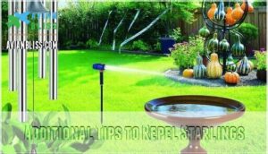 additional tips to repel starlings