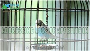 addressing loss of appetite in budgies