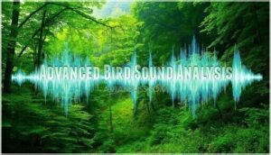 advanced bird sound analysis