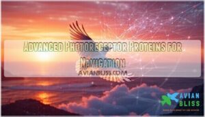 advanced photoreceptor proteins for navigation advanced photoreceptor proteins for navigation