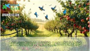 agricultural lands and orchards