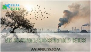 air pollution and respiratory issues air pollution and respiratory issues