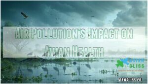 air pollution’s impact on avian health air pollution’s impact on avian health