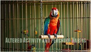 altered activity and perching habits