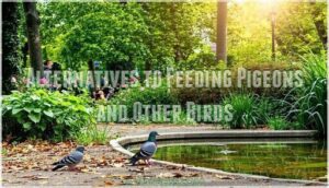 alternatives to feeding pigeons and other birds