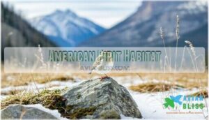 american pipit habitat