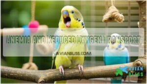 anemia and reduced oxygen transport