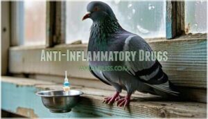anti-inflammatory drugs