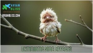 antibiotic side effects