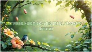 antifungal medications (voriconazole, itraconazole, nystatin)