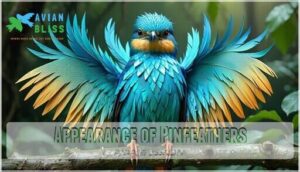 appearance of pinfeathers appearance of pinfeathers