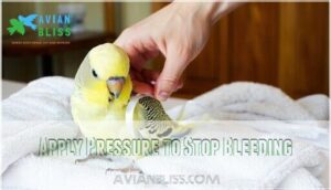 apply pressure to stop bleeding
