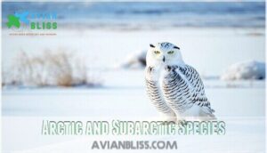 arctic and subarctic species
