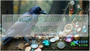 are crows attracted to shiny objects