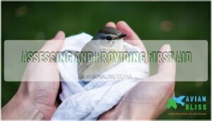 assessing and providing first aid