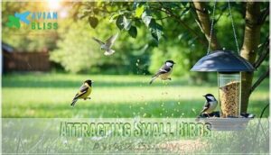 attracting small birds