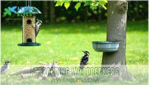 attracting woodpeckers