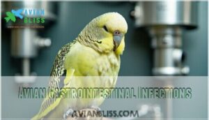 avian gastrointestinal infections