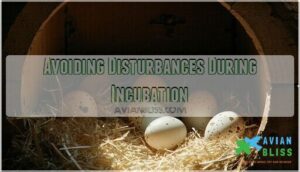 avoiding disturbances during incubation