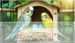 avoiding handling the eggs or mother