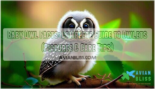What Is A Baby Owl Called