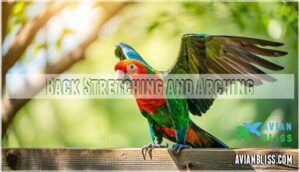 back stretching and arching