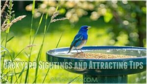 backyard sightings and attracting tips