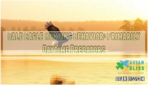 bald eagle hunting behavior: primarily daytime predators