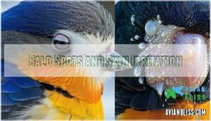 bald spots and skin irritation bald spots and skin irritation