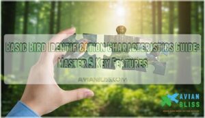 basic bird identification characteristics guide basic bird identification characteristics guide