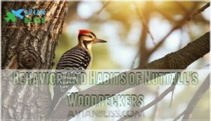 behavior and habits of nuttall's woodpeckers