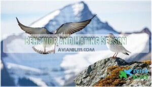 behavior and mating season