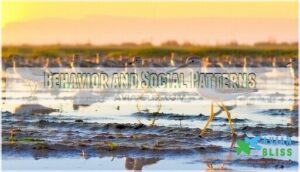 behavior and social patterns