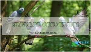 behavior and social structure