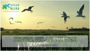 behavior, diet, and life cycle