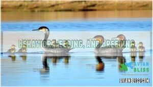 behavior, feeding, and breeding