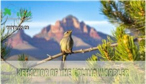behavior of the colima warbler