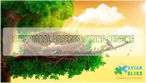 behavioral aspects during nesting