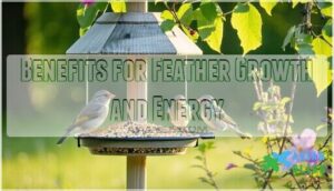 benefits for feather growth and energy