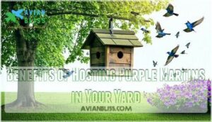 benefits of hosting purple martins in your yard