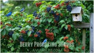 berry producing shrubs