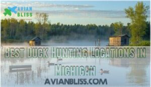 best duck hunting locations in michigan