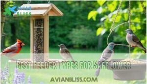 best feeder types for safflower