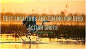 best locations and timing for bird action shots best locations and timing for bird action shots