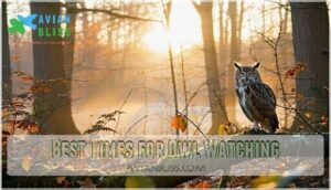 best times for owl watching