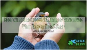 best wild bird rescue practices best wild bird rescue practices