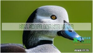 bill shape and eye color