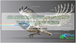 bird anatomy facts overview bird anatomy facts overview