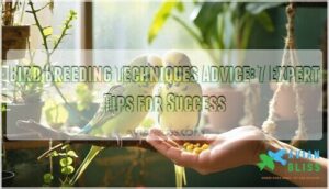 bird breeding techniques advice bird breeding techniques advice